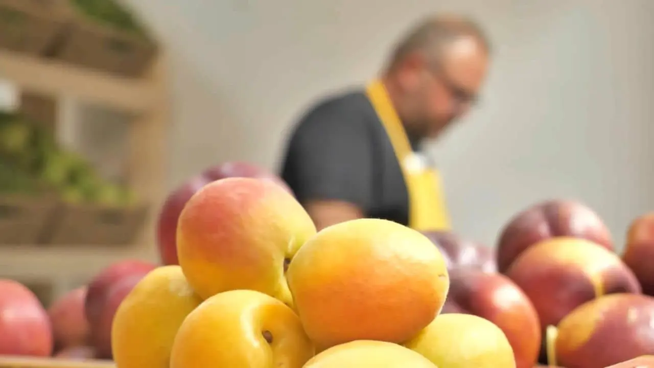Bari, su 1500 mq il food hub contadino