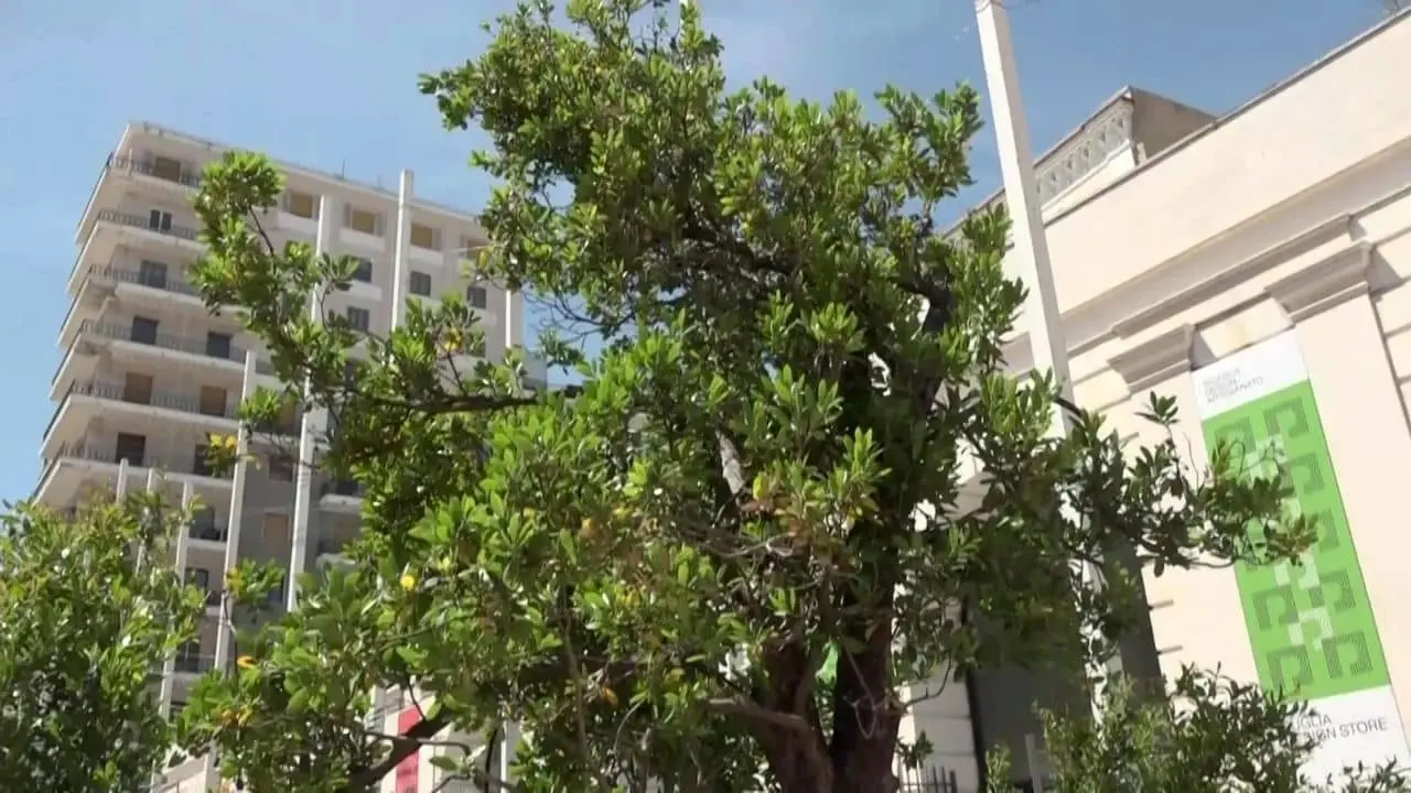 Bari va oltre il giardino