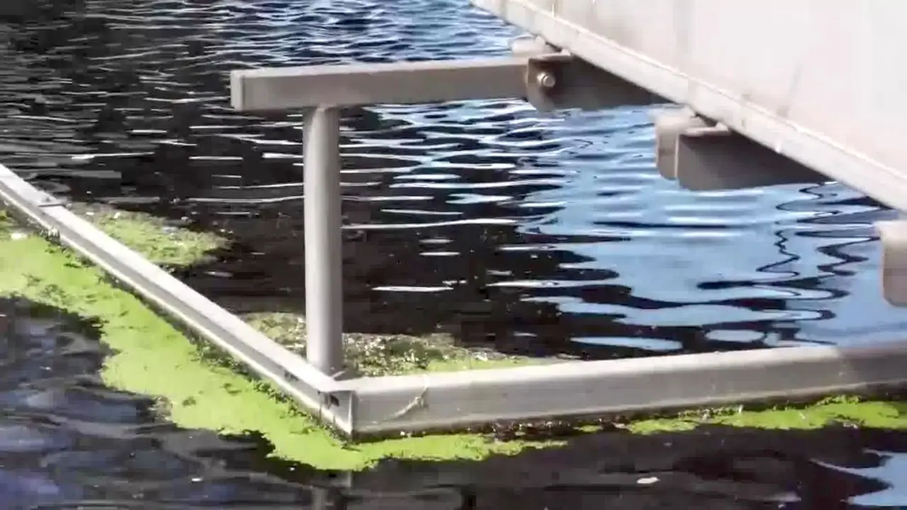 Quando gli scarti diventano risorsa