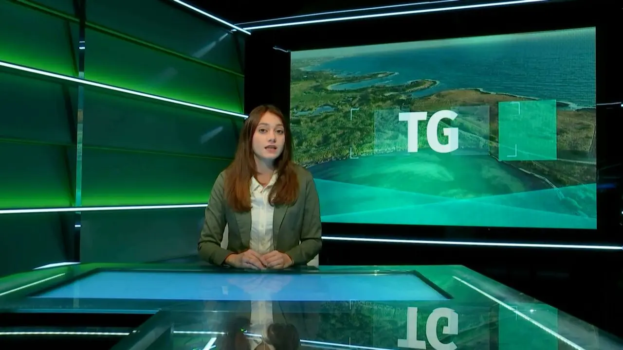 TG - 1 dicembre 2025