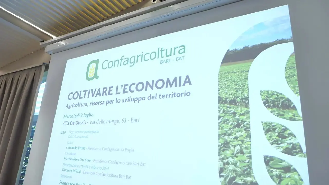 Crisi idrica e xylella: "Coltiviamo l'economia"