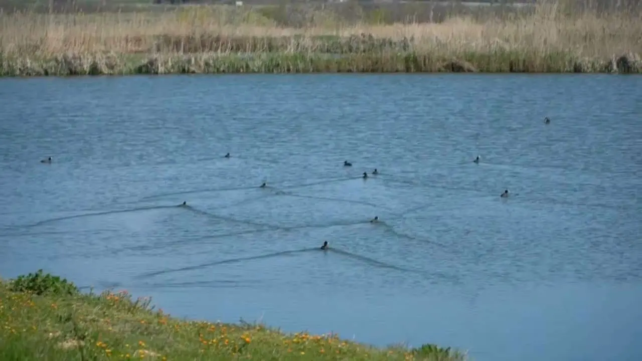 Tutti per l'acqua - Zone Umide per combattere la siccità
