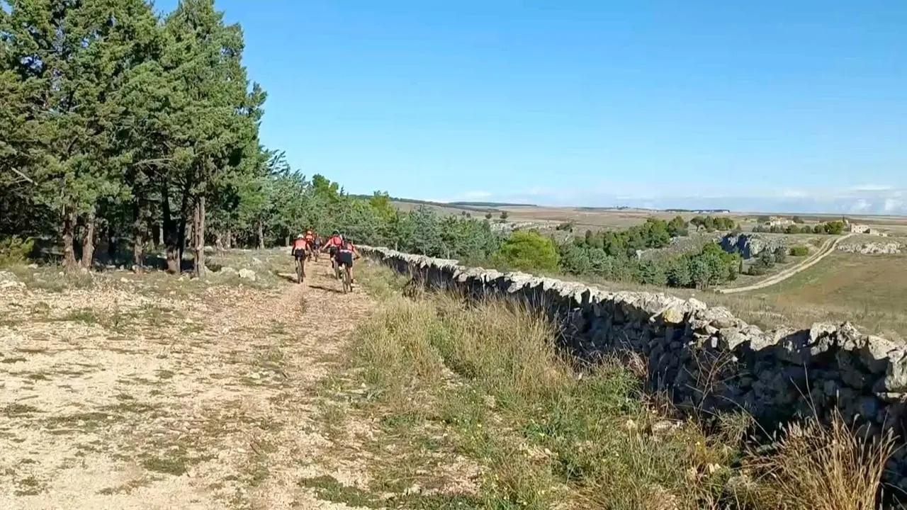 "Pulicchio" di Gravina, meraviglia della natura