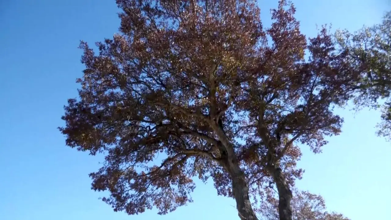 C'è una Puglia che racconta storie antiche