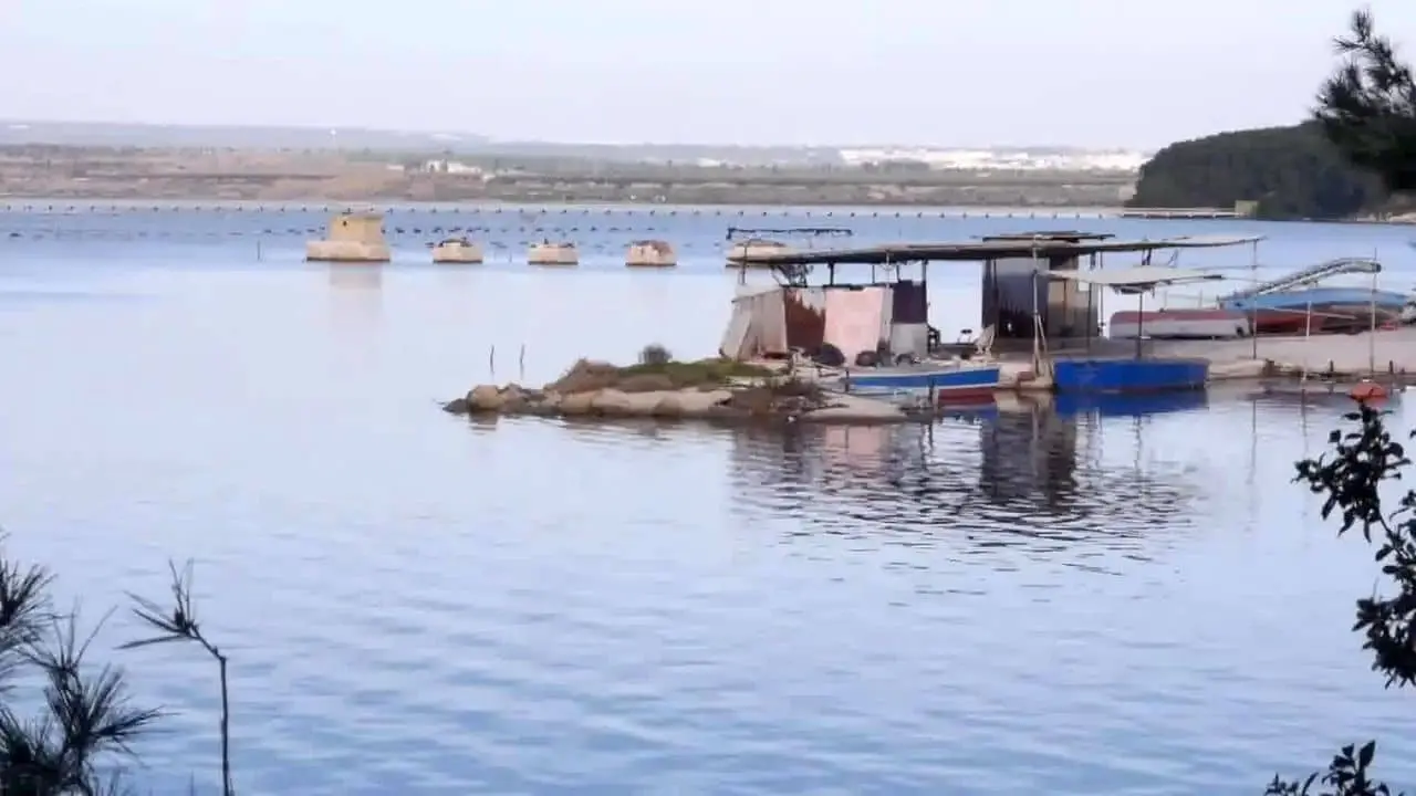 Eco-museo del Mar Piccolo, spazio blu di biodiversità