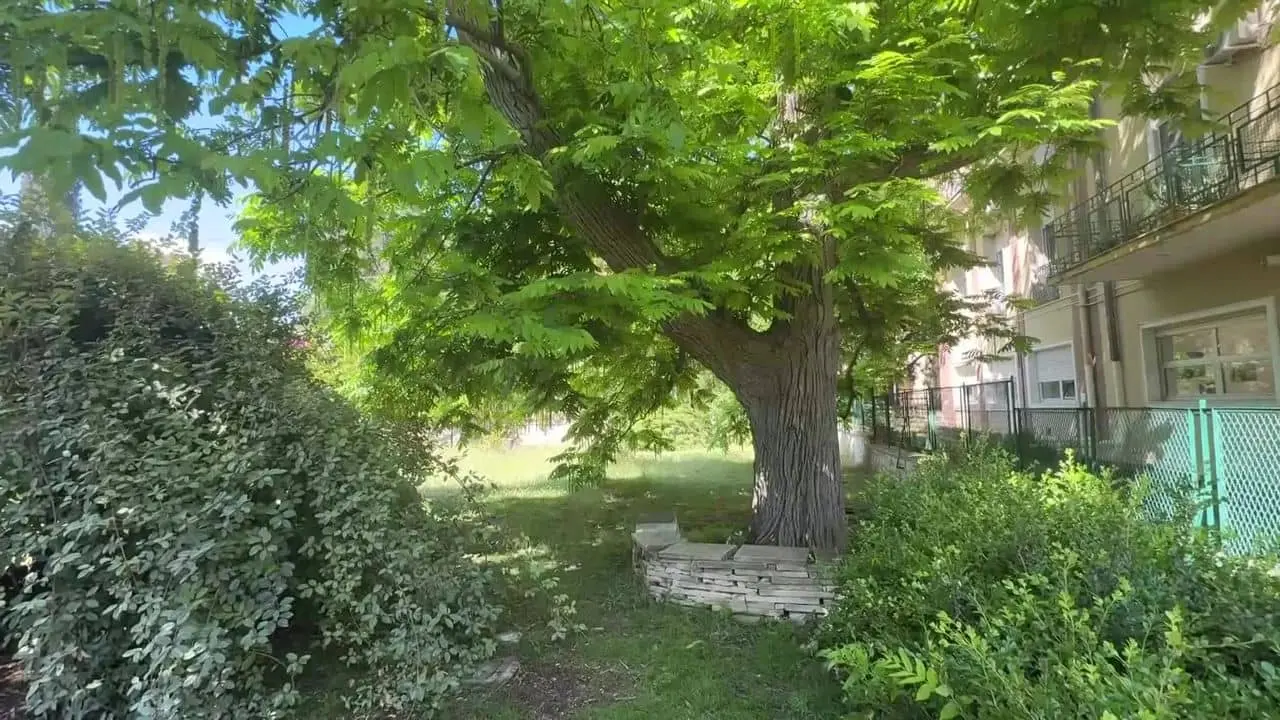 Fiori e piante, non è solo estetica