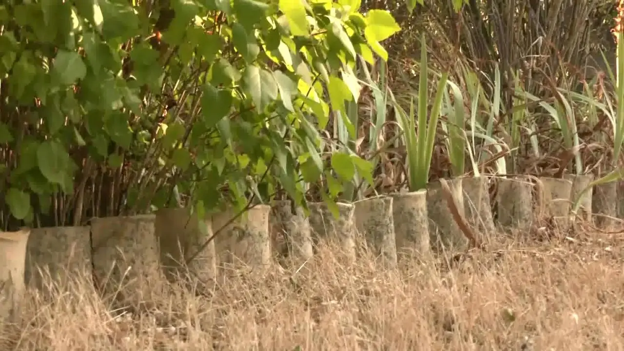Giardino della Moscatella, coltivare bellezza senza irrigazione