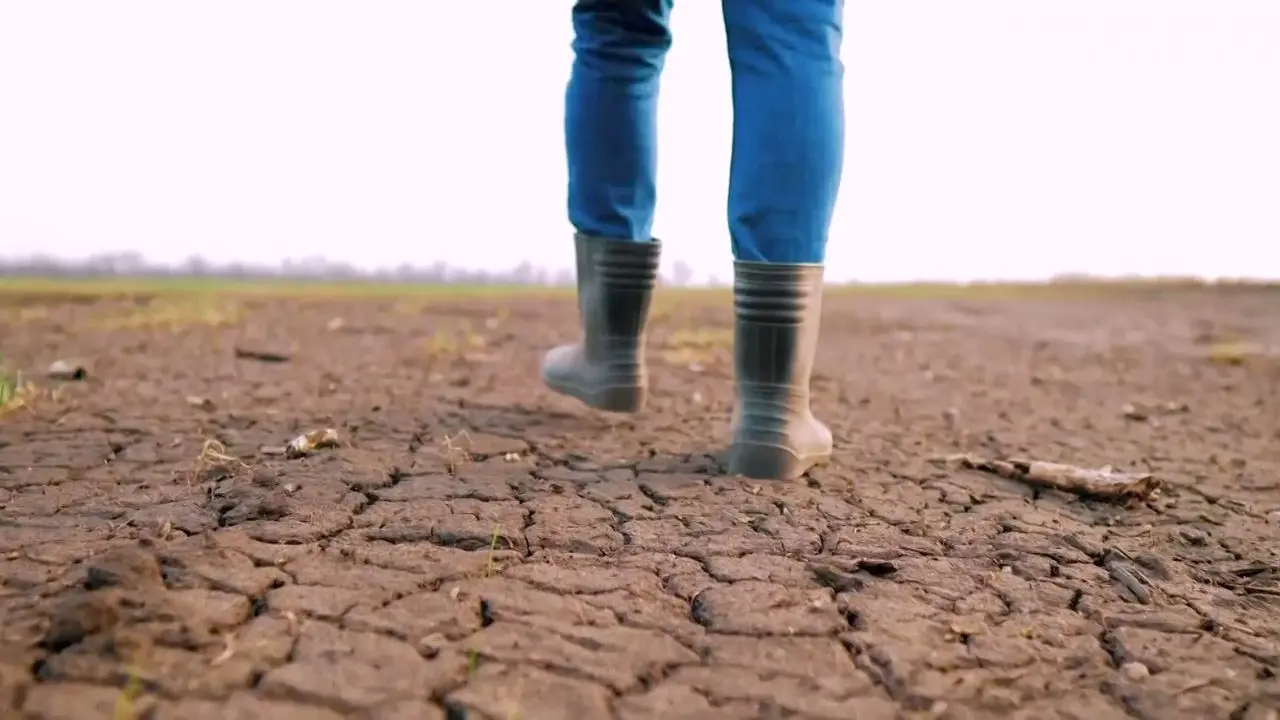 Cambiamenti climatici, le nuove fonti da opportunità a necessità