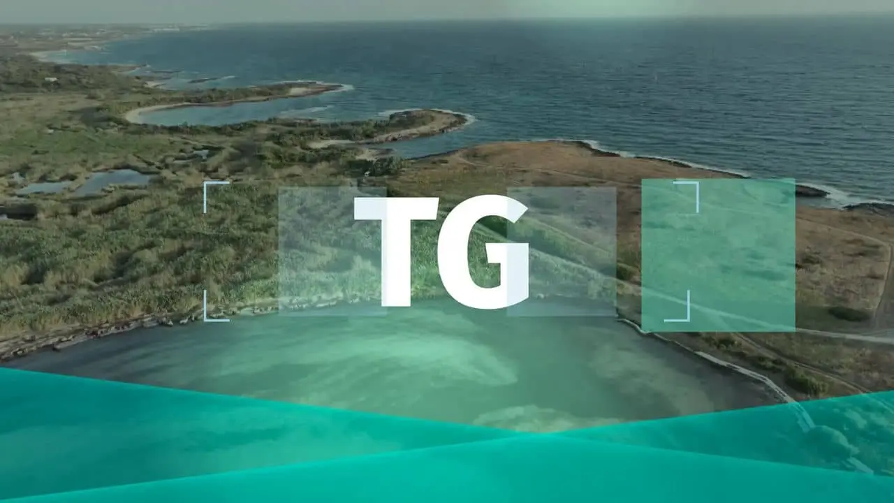 TG - 12 maggio 2025