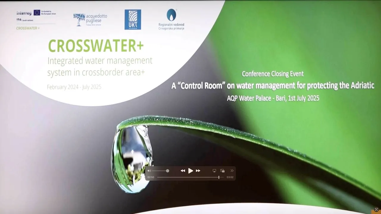 Cross Water Plus: esempio (virtuoso) di collaborazione