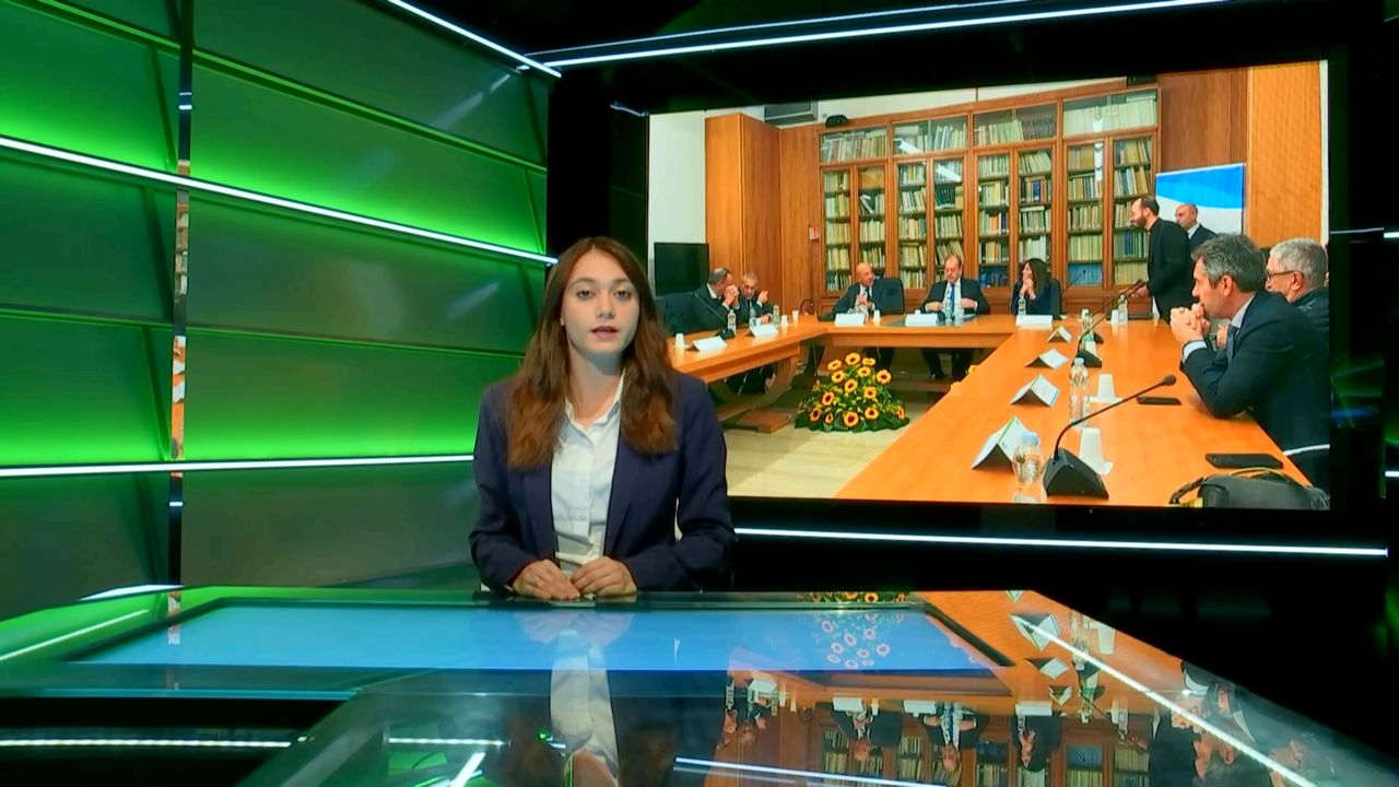 TG - 24 novembre 2025