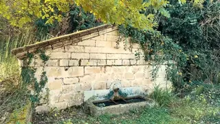 Il percorso delle fontane storiche a Spinazzola