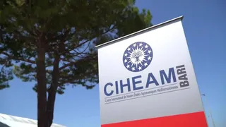 I 60 anni del CIHEAM Bari, idee per salvare l'acqua
