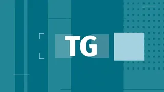 TG - numero 4