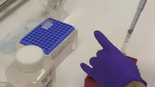 Gustare acqua buona, merito anche di ACIS