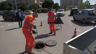 A Taranto un'estate senza blatte