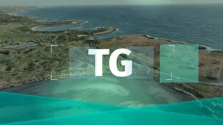 TG - 2 giugno 2025