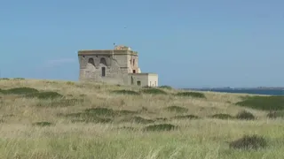 Torre Guaceto, spiaggia e mare sostenibili