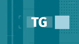 TG - 24 febbraio 2025