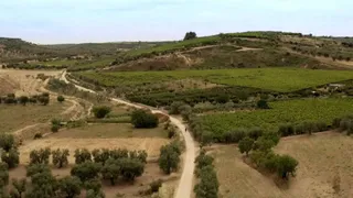Puglia fuori rotta Cammini Edition. La Via Francigena - 3