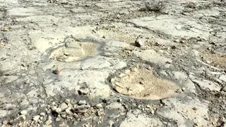 Puglia, le Bahamas dei dinosauri