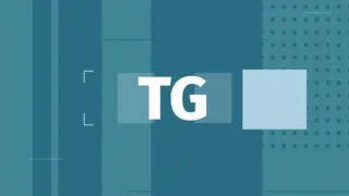 TG - numero 21