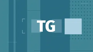 TG - 4 novembre 2024