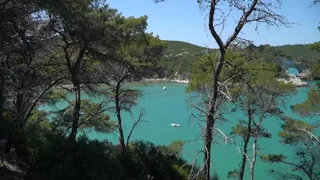 Bandiere Blu, Puglia da Oscar