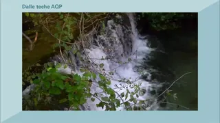 Giornata mondiale dell'Acqua. Magneson all'evento AQp online