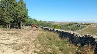 "Pulicchio" di Gravina, meraviglia della natura