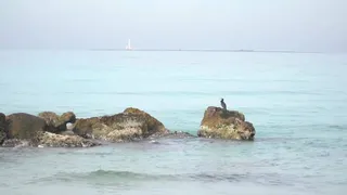Alla scoperta delle Zone Umide da tutelare