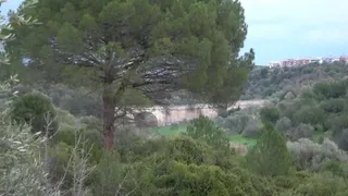 Lama Balice, 37 Km di biodiversità