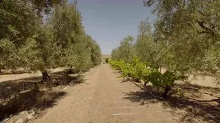 Puglia fuori rotta Cammini Edition. La Via Francigena - 4