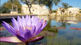 A Conversano il Biolago del benessere
