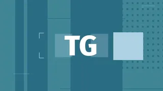 TG - 29 aprile 2024