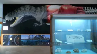 In fondo al mar alla scoperta dei fossili