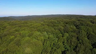 Puglia fuori rotta - La foresta umbra
