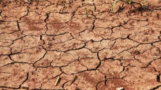 La lunga estate tra caldo torrido e siccità