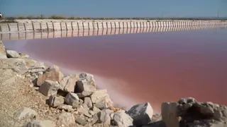 Un abbraccio d'acqua tra mare e saline