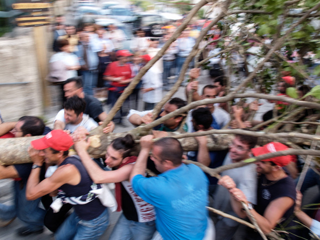 Maggio Accettura