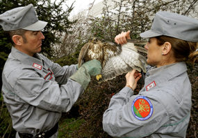 Forestale Forestali Carabinieri